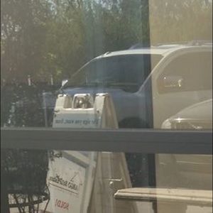 Meet your Posher, Steve